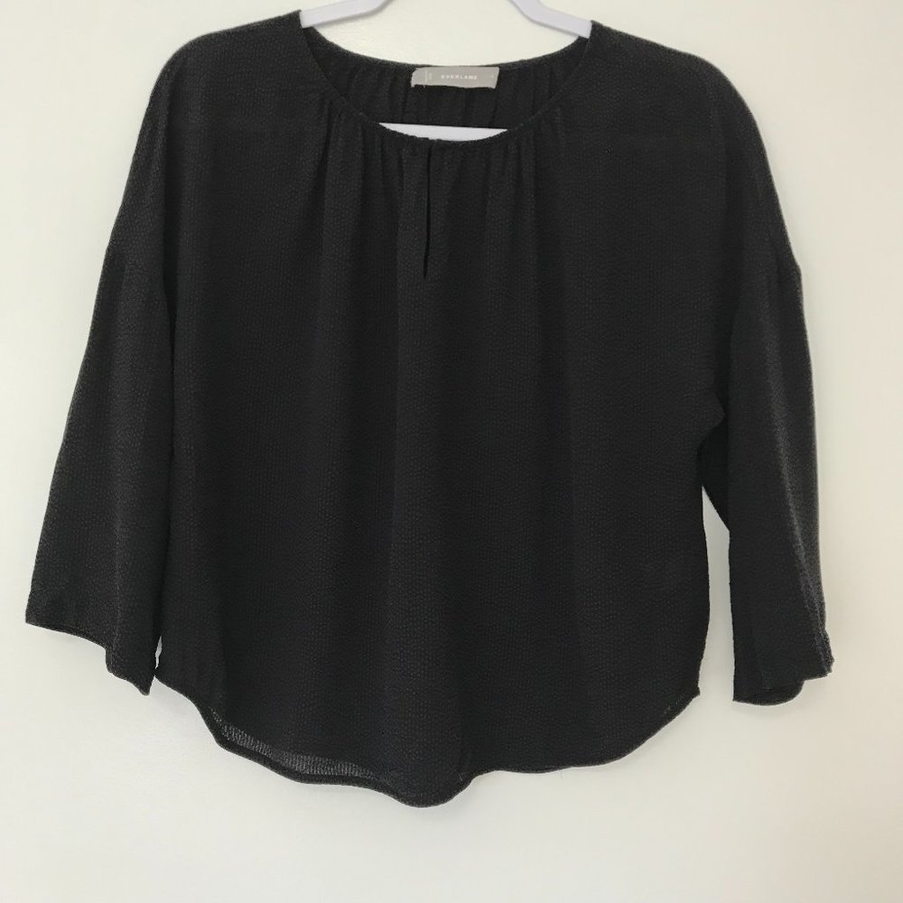 Everlane Shirred Cupro Blouse 6